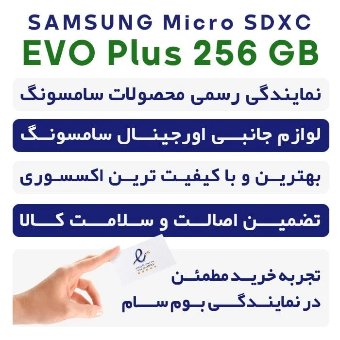 Evo 256gb sale